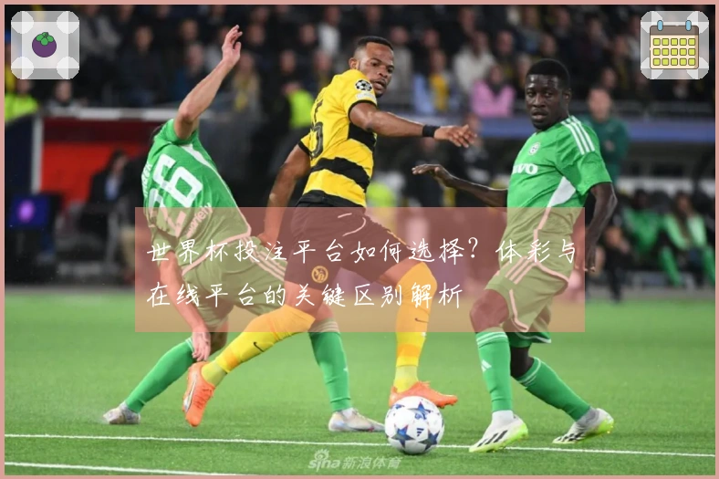世界杯投注平台如何选择？体彩与在线平台的关键区别解析