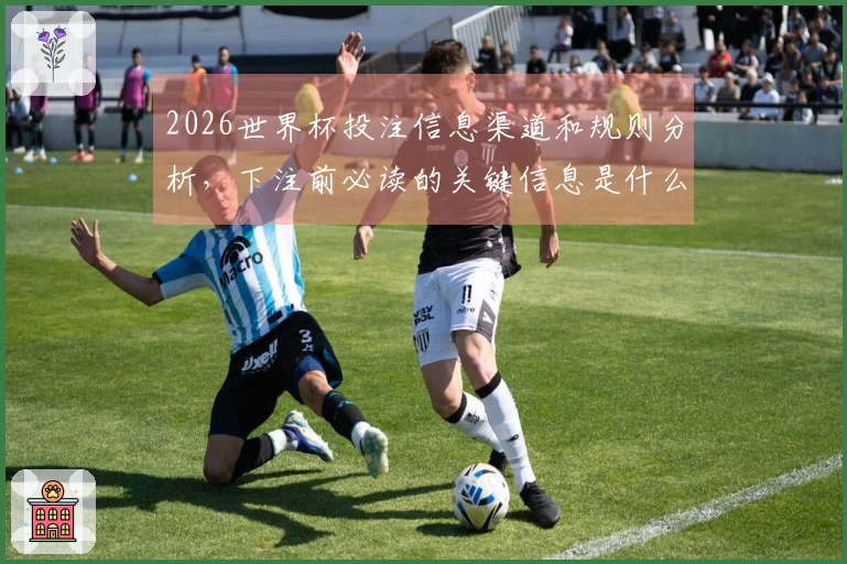 2026世界杯投注信息渠道和规则分析，下注前必读的关键信息是什么