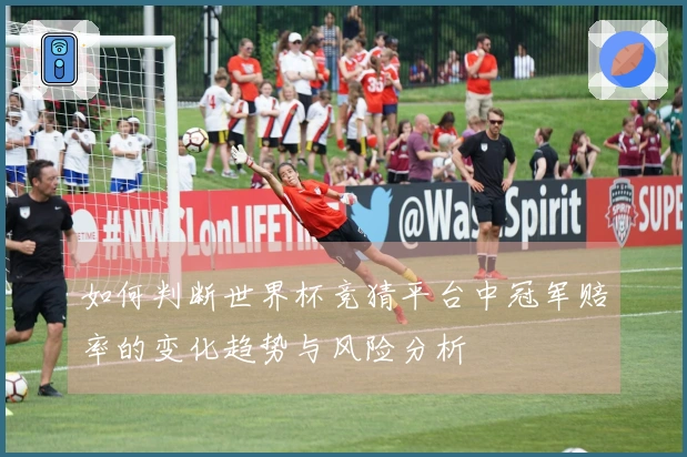 如何判断世界杯竞猜平台中冠军赔率的变化趋势与风险分析