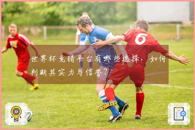 世界杯竞猜平台有哪些选择，如何判断其实力与信誉？