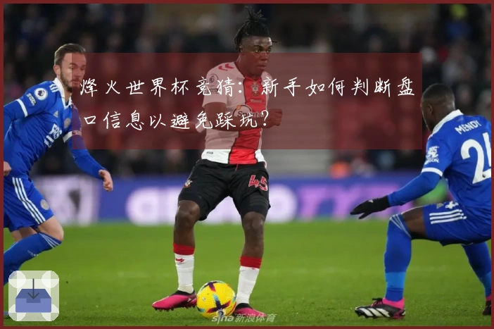 烽火世界杯竞猜：新手如何判断盘口信息以避免踩坑？