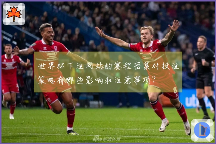 世界杯下注网站的赛程密集对投注策略有哪些影响和注意事项？