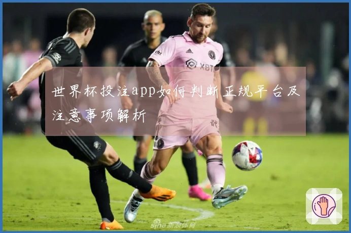 世界杯投注app如何判断正规平台及注意事项解析
