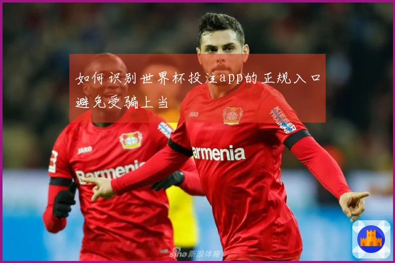 如何识别世界杯投注app的正规入口避免受骗上当