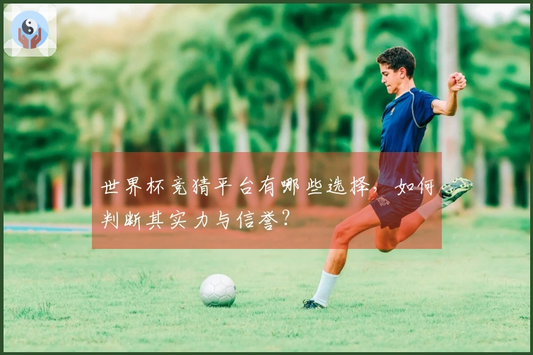 世界杯竞猜平台有哪些选择，如何判断其实力与信誉？