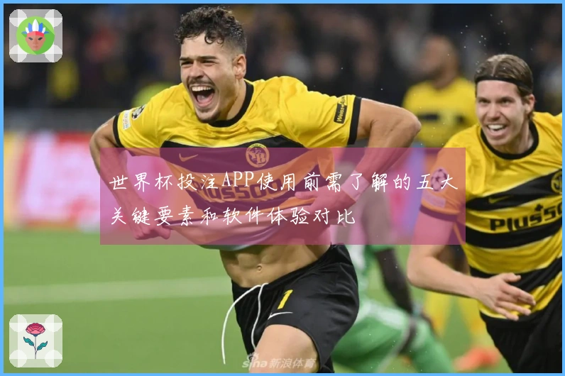 世界杯投注APP使用前需了解的五大关键要素和软件体验对比