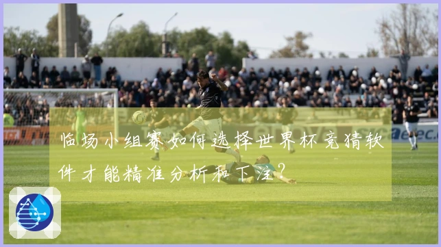 临场小组赛如何选择世界杯竞猜软件才能精准分析和下注？