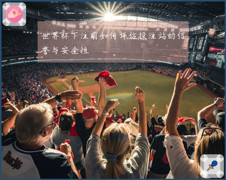 世界杯下注前如何评估投注站的信誉与安全性
