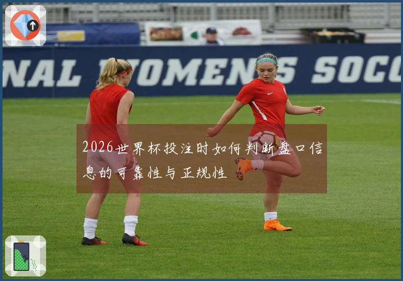 2026世界杯投注时如何判断盘口信息的可靠性与正规性