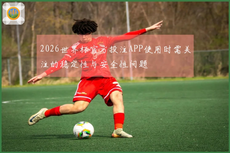 2026世界杯官方投注APP使用时需关注的稳定性与安全性问题