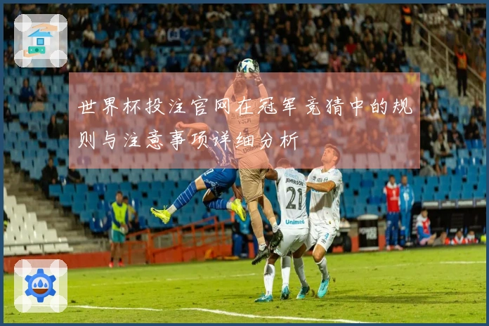 世界杯投注官网在冠军竞猜中的规则与注意事项详细分析