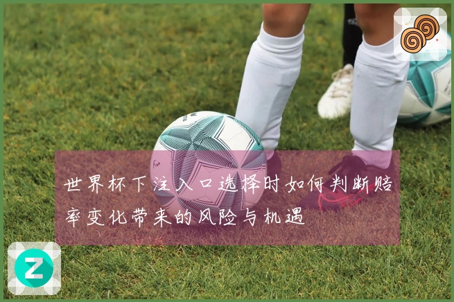 世界杯下注入口选择时如何判断赔率变化带来的风险与机遇