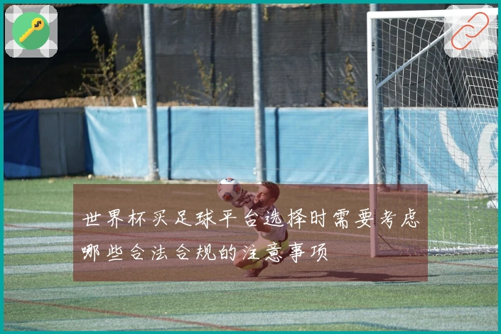 世界杯买足球平台选择时需要考虑哪些合法合规的注意事项