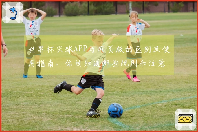 世界杯买球APP与网页版的区别及使用指南，你该知道哪些规则和注意事项