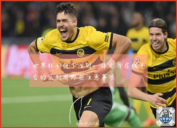 世界杯如何下注时，体彩与在线平台的区别有哪些注意事项