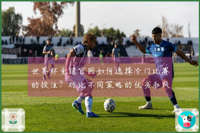 世界杯竞猜官网如何选择冷门比赛的投注？对比不同策略的优劣和风险