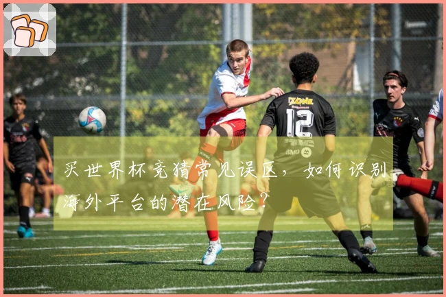 买世界杯竞猜常见误区，如何识别海外平台的潜在风险？