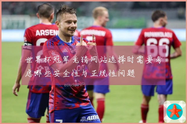 世界杯冠军竞猜网站选择时需要考虑哪些安全性与正规性问题