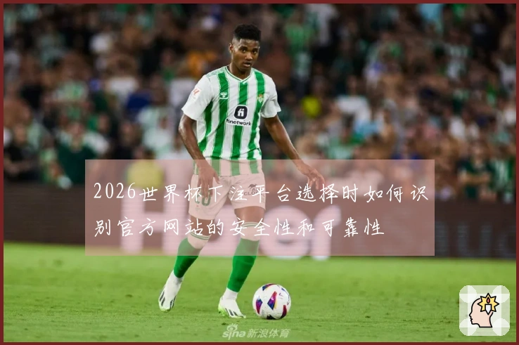 2026世界杯下注平台选择时如何识别官方网站的安全性和可靠性
