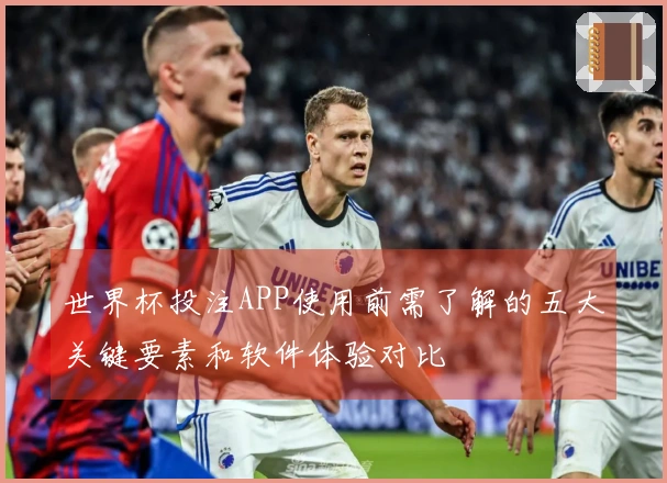 世界杯投注APP使用前需了解的五大关键要素和软件体验对比
