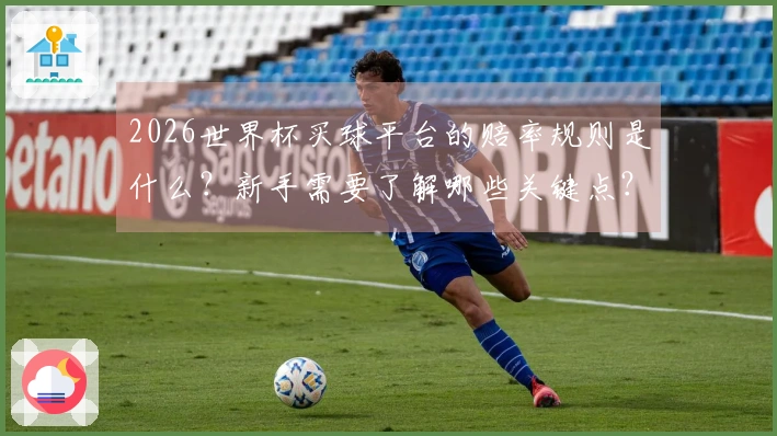 2026世界杯买球平台的赔率规则是什么？新手需要了解哪些关键点？