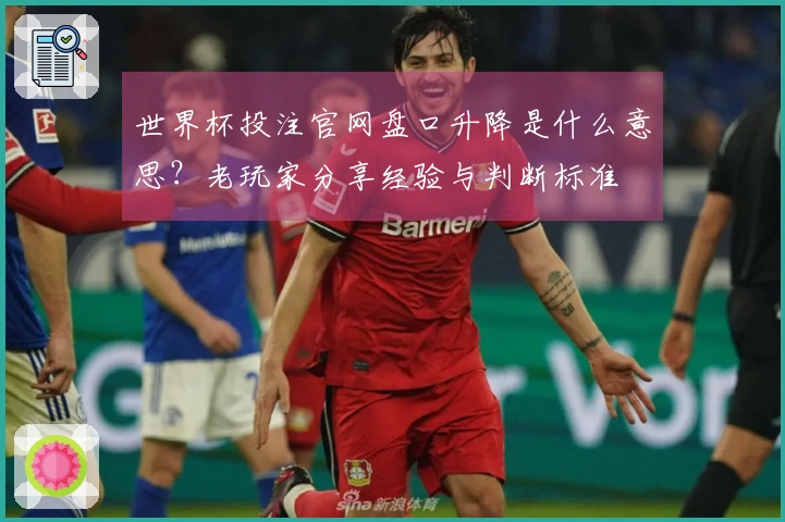 世界杯投注官网盘口升降是什么意思？老玩家分享经验与判断标准