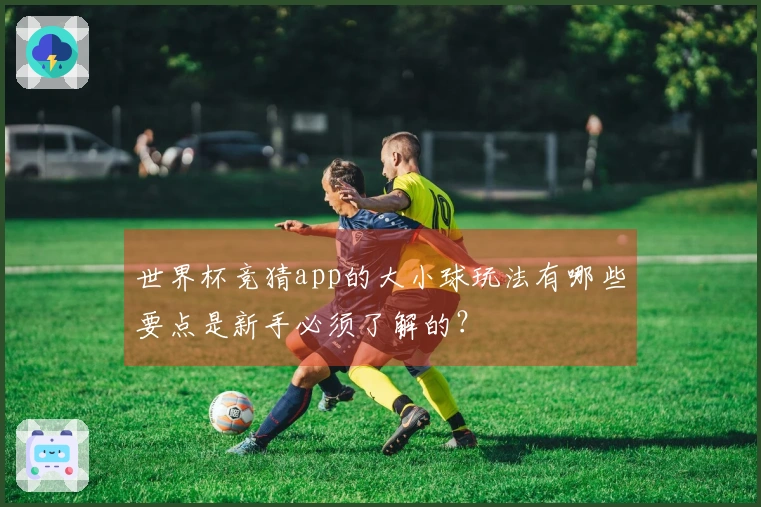 世界杯竞猜app的大小球玩法有哪些要点是新手必须了解的？