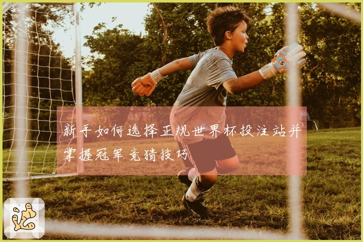 新手如何选择正规世界杯投注站并掌握冠军竞猜技巧
