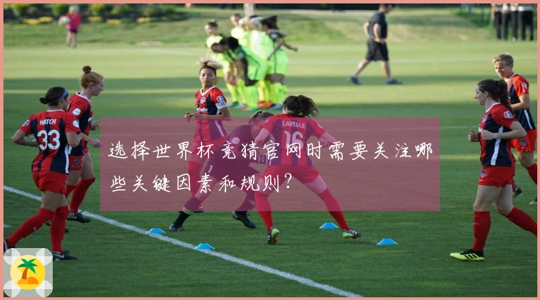 选择世界杯竞猜官网时需要关注哪些关键因素和规则？