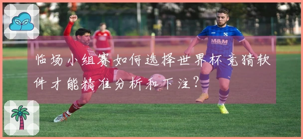 临场小组赛如何选择世界杯竞猜软件才能精准分析和下注？