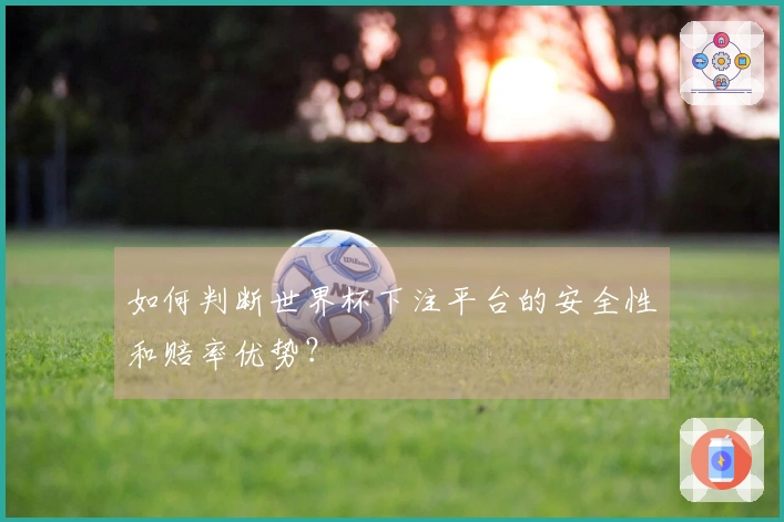 如何判断世界杯下注平台的安全性和赔率优势？