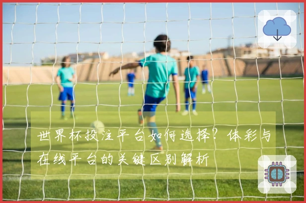 世界杯投注平台如何选择？体彩与在线平台的关键区别解析