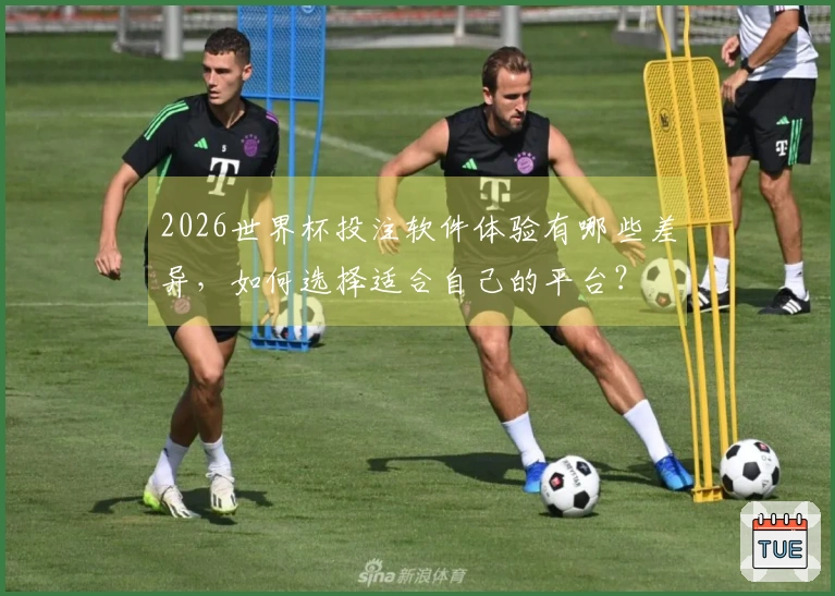 2026世界杯投注软件体验有哪些差异，如何选择适合自己的平台？
